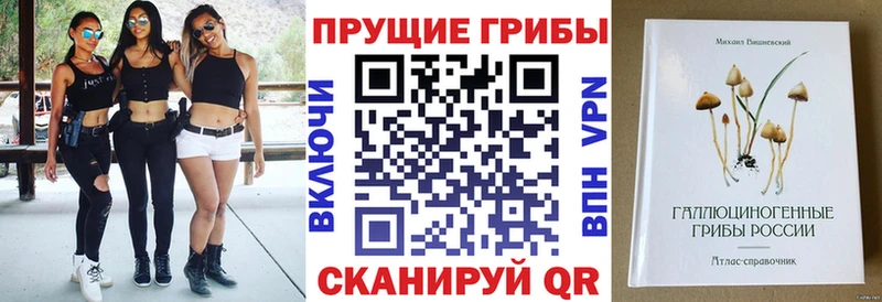 ссылка на мегу ССЫЛКА  маркетплейс телеграм  Псилоцибиновые грибы прущие грибы  где можно купить наркотик  Рубцовск 